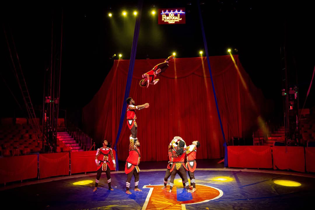 Chicago Circus-Performers